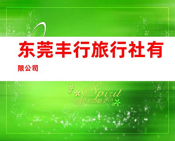 东莞丰行旅行社有限公司