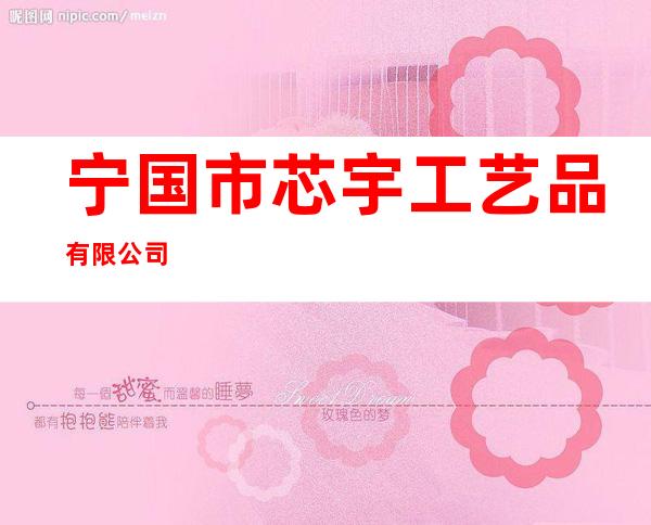 宁国市芯宇工艺品有限公司